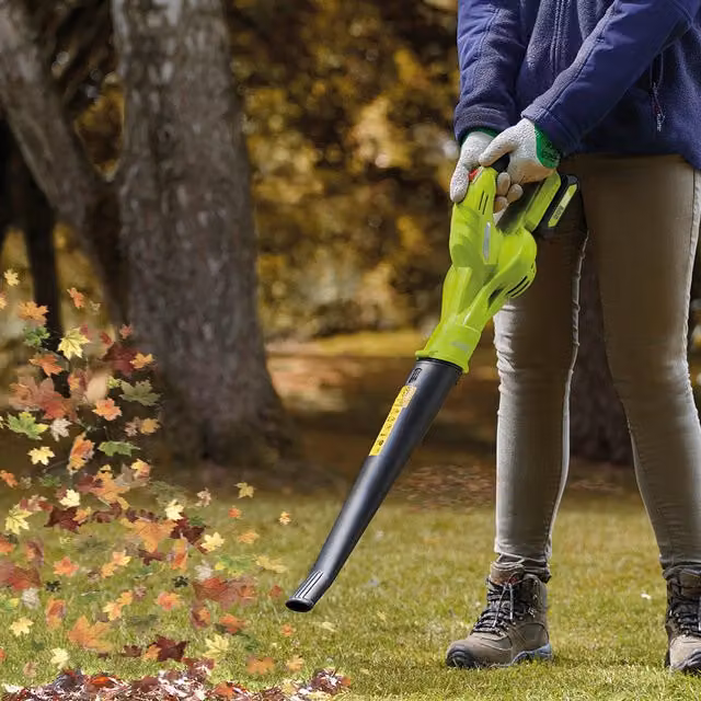 Garden Gear 20V Cordless Leaf Blower with Rechargeable Battery, Green