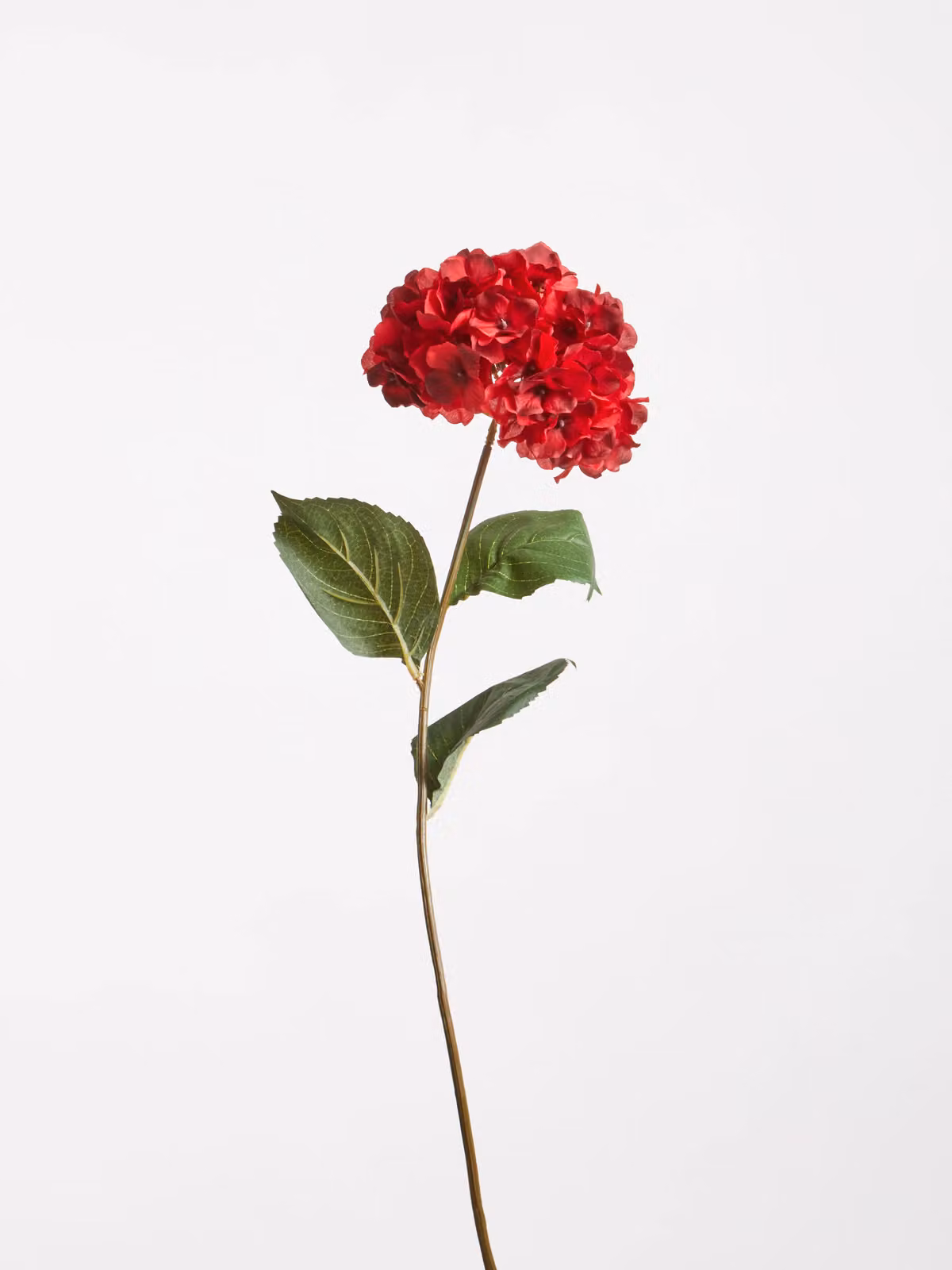 Orsina Red Hydrangea Faux Flower Stem with Green Foliage, Height: 74 cm – 3