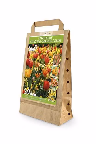 GreenBrokers Ratatouille Spring Flower Bulbs, 30 x Yellow and Orange Tulipas and Narcissus Martinette – 1