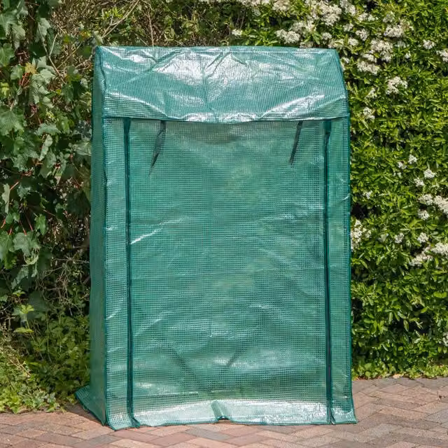 Samuel Alexander Green Outdoor Greenhouse with Steel Frame and PE Cover, W: 100 cm, H: 155 cm – 1