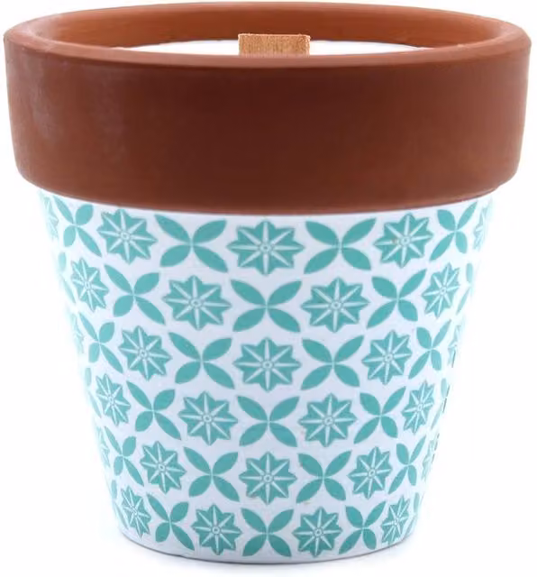 Agnes + Cat Serenityy Rosemary Herb Garden Tabletop Soy Wax Candle in Black and Multicolour