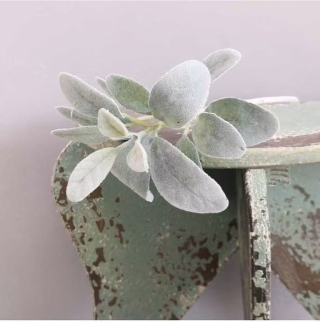 KDMD Lambs Ear Leaf on Short Stem in Burgundy and Green, 3 Pack