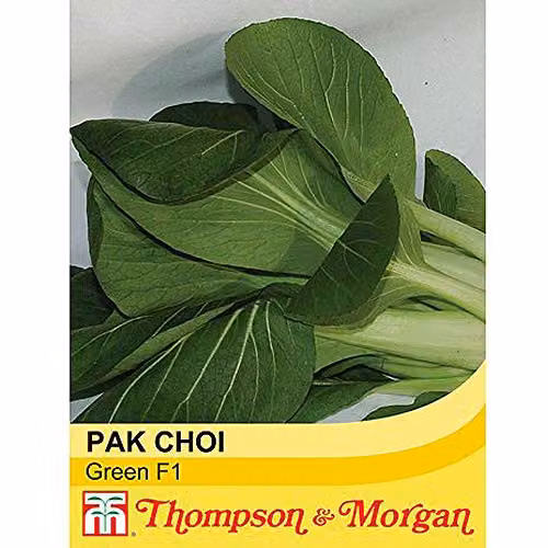 Thompson and Morgan Pak Choi Green F1 Hybrid Fast-Growing Vegetable Seeds
