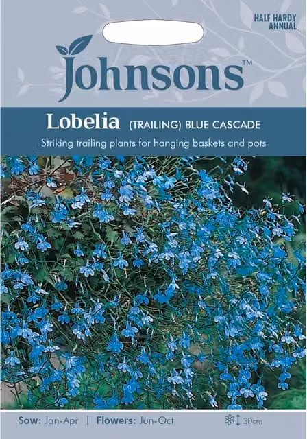 Johnsons Lobelia Blue Cascade Trailing Flower Seeds