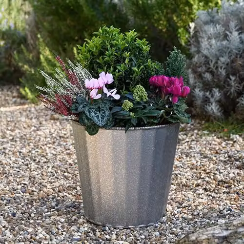 Garden Gear Steel Effect Planter, Silver, Diameter: 32 cm – 2