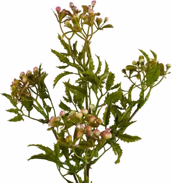 Leaf Artificial Pink Berry Foliage Stem, 55 cm