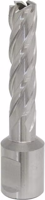 Loops M2 Steel Rotabor Annular Metal Core Drill Cutter, Silver, Depth: 50 mm, Diameter: 12 mm