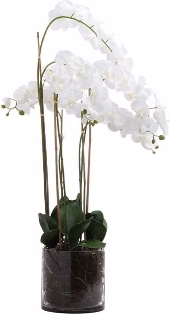 Love Lace Large White Tall Artificial Orchid in a Glass Pot