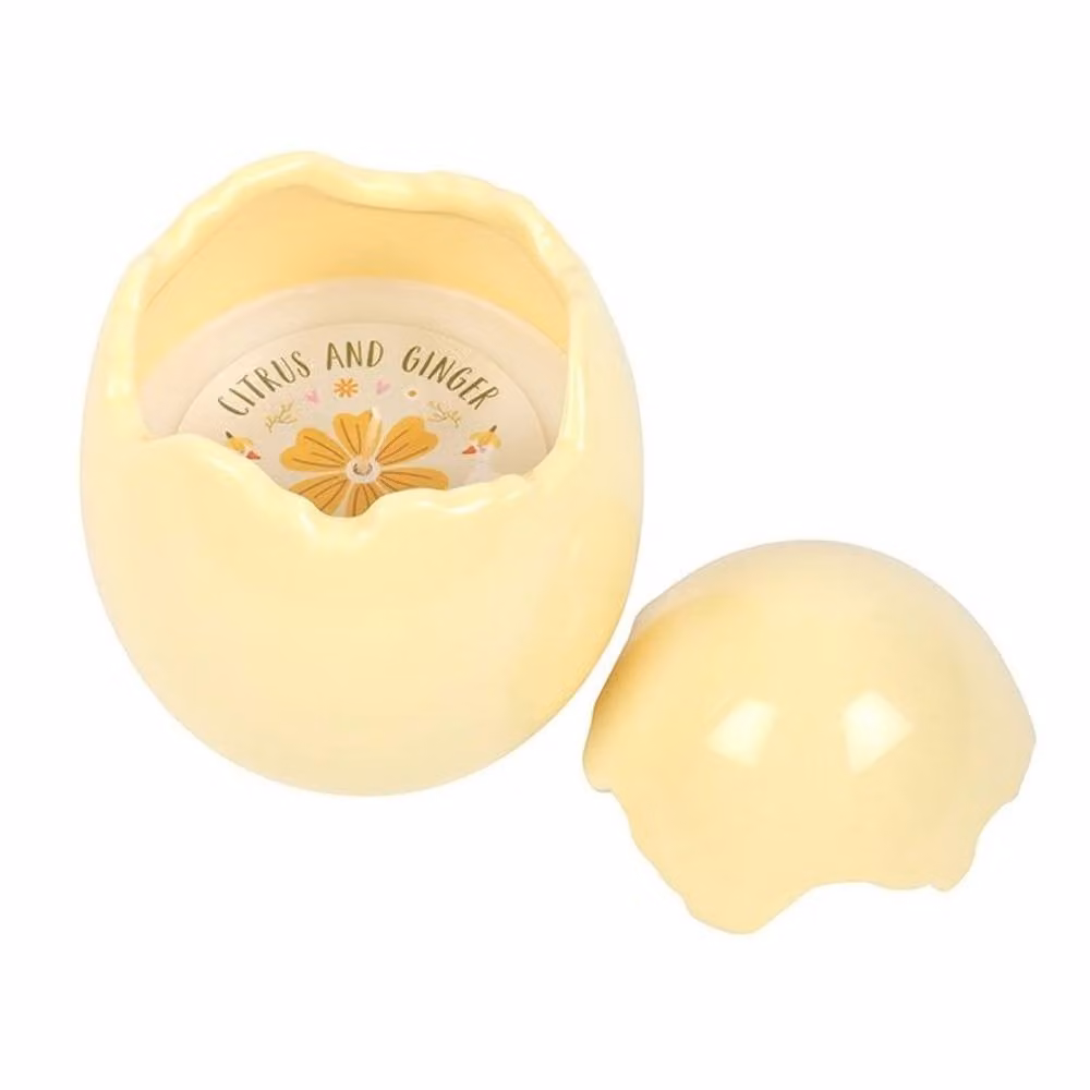 Uniqueful Citrus & Ginger Egg Shaped Candle in Yellow – 2