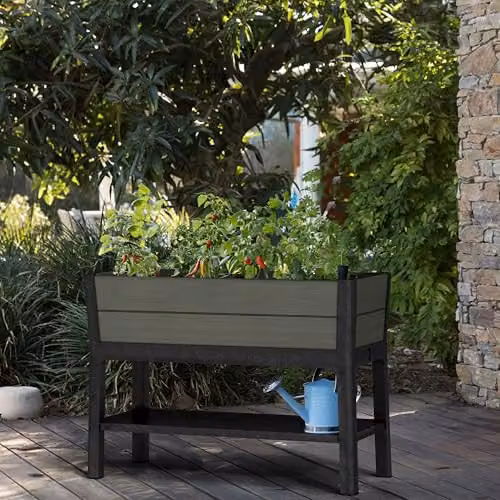 Keter Darwin Elevated Garden Bed in Green, Self-Watering Raised Planter with Water Gauge and Drainage Tap – 3