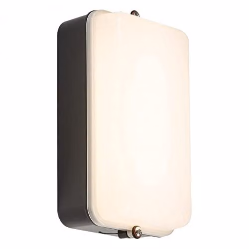 Netlighting LED Security Amenity Bulkhead with Black Base and Opal Diffuser, Cool White 4000K, 5W, IP54