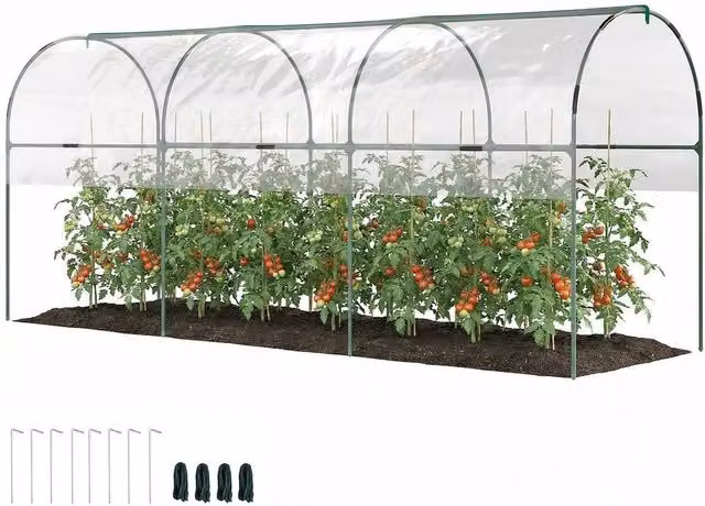 Kelvenix Transparent Tomato Greenhouse with Top Tap and Plant Stakes for Vegetable Gardens