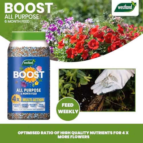 Westland Boost All Purpose Slow Release Plant Food, 750g – 5