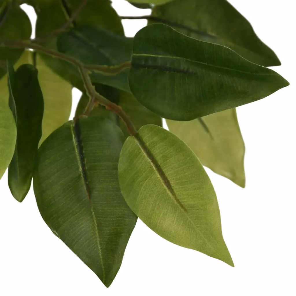 Berkfield Home Artificial Ficus Tree, Green, Height: 180 cm – 2