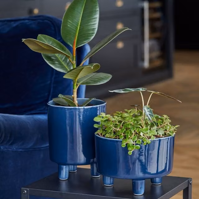 Ivyline Pisa Navy Blue Ceramic Round Tabletop Planter, H: 24 cm, D: 20 cm