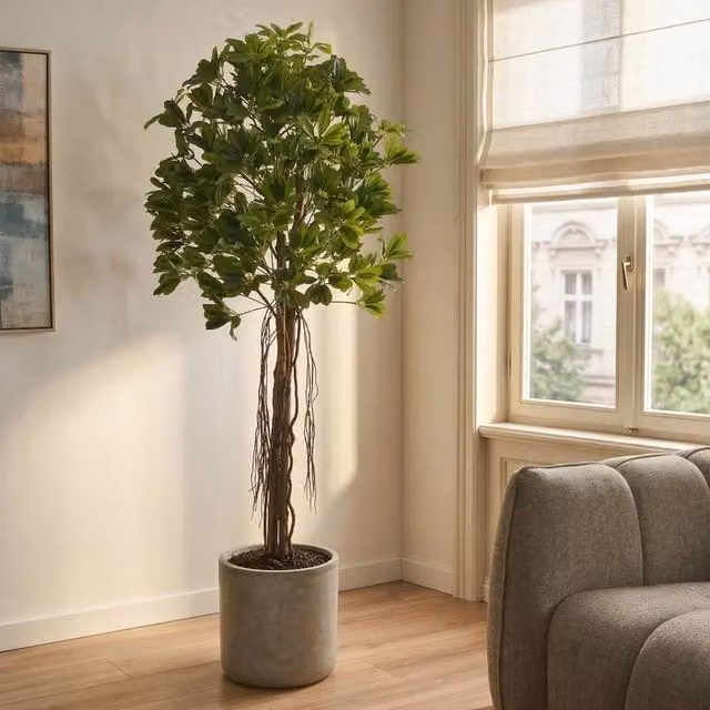 Wyld and Coco 175 cm Lifelike Artificial Umbrella Tree in Green