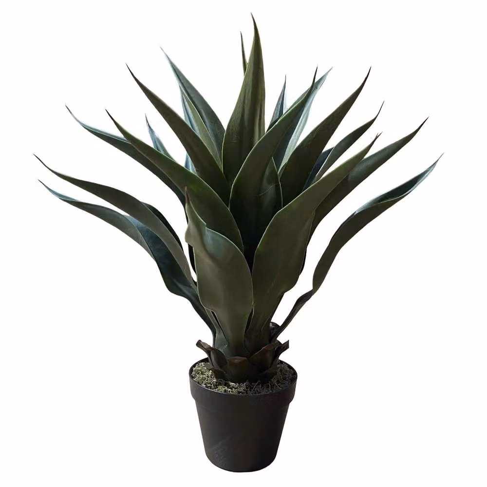 Botanik Artificial Tropical Yucca Potted Plant in Green, Height: 60 cm – 3
