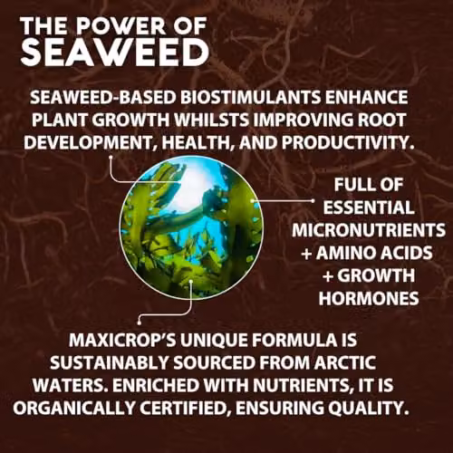 Maxicrop Sequestered Iron and Natural Seaweed Plant Tonic, 500ml – 6