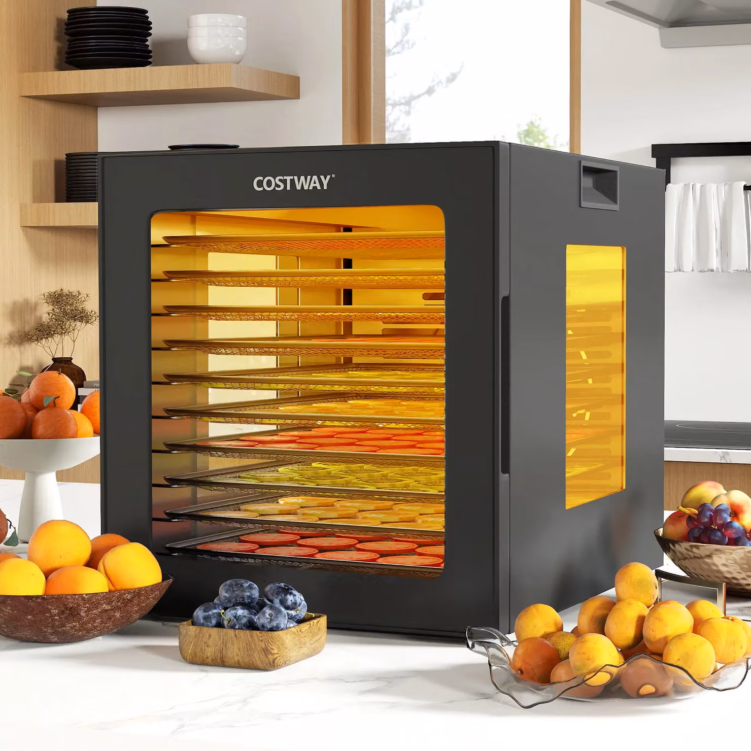 Gymax Food Dehydrator with 10 Stainless Steel Trays and 10 Presets in Black – 3