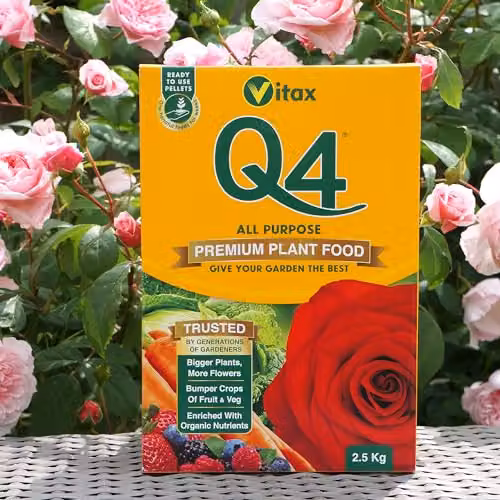 Vitax Q4 All Purpose Slow Release Plant Food and Fertiliser, 2.5 kg, Yellow – 2