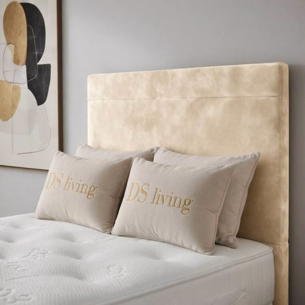 DS Living Muse Upholstered Velvet Divan Bed in Cream/Beige, W/D/H: 140 x 200 cm – 2