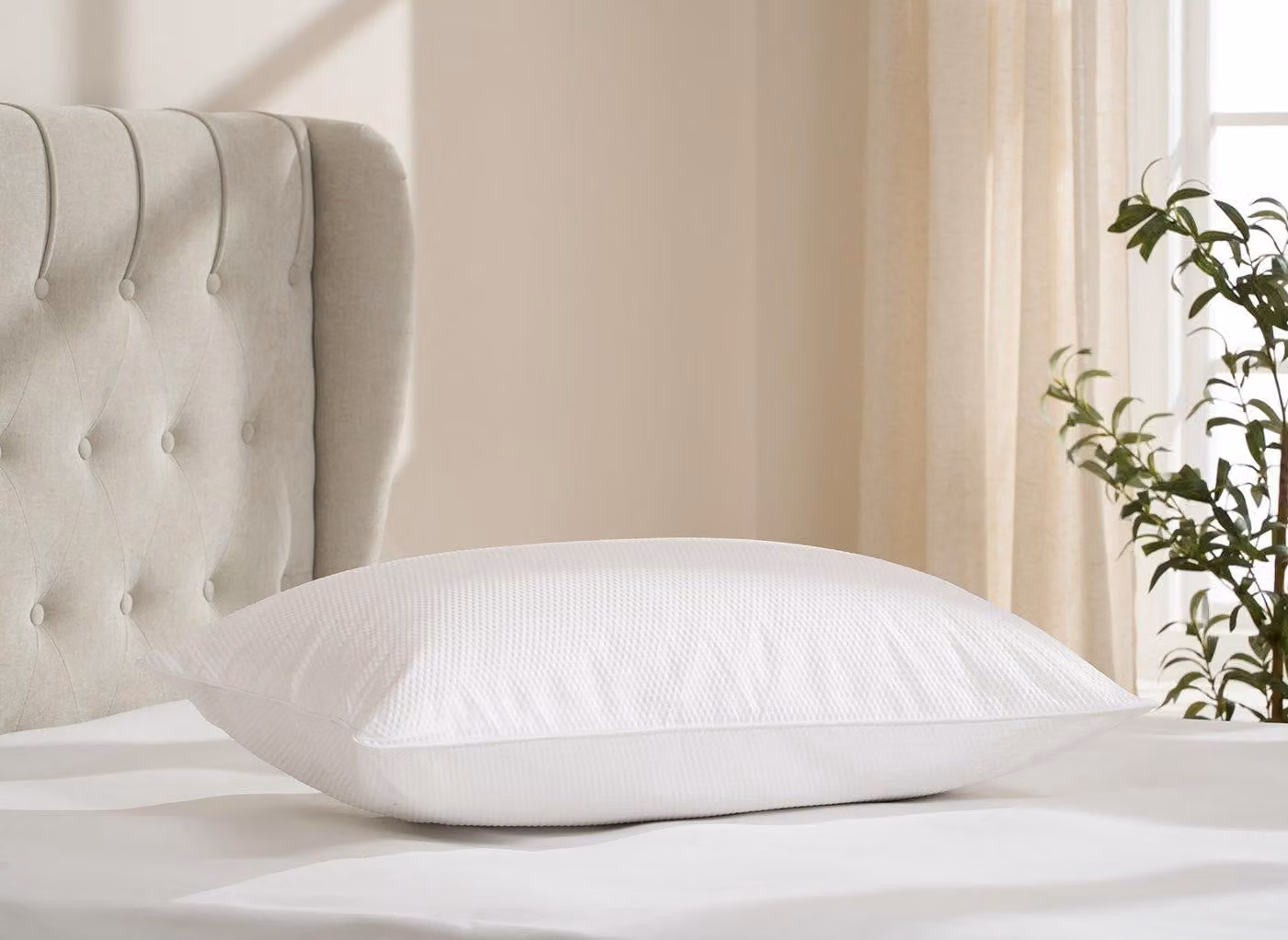 Dreams Extra Firm Support Polyester Pillow in White