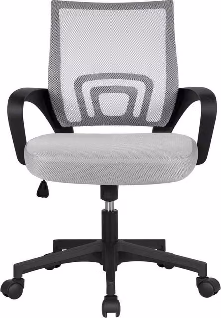 FLAVORA Grey Modern Task Chair for Home Office and Study