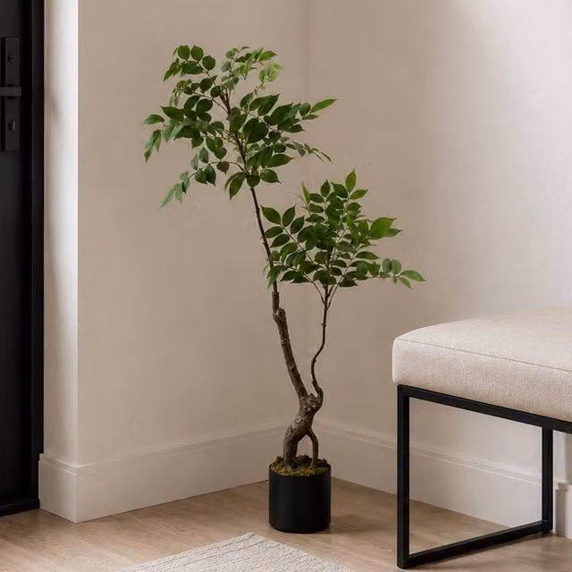 Leaf Premium Artificial Toona Sinensis Evergreen Tree in Green, Height: 110 cm