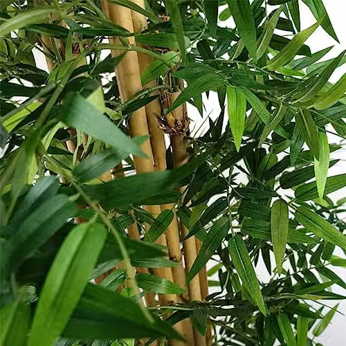 Leaf Design UK Artificial Bamboo Tree in Green and Multicolour, Height: 150 cm – 3