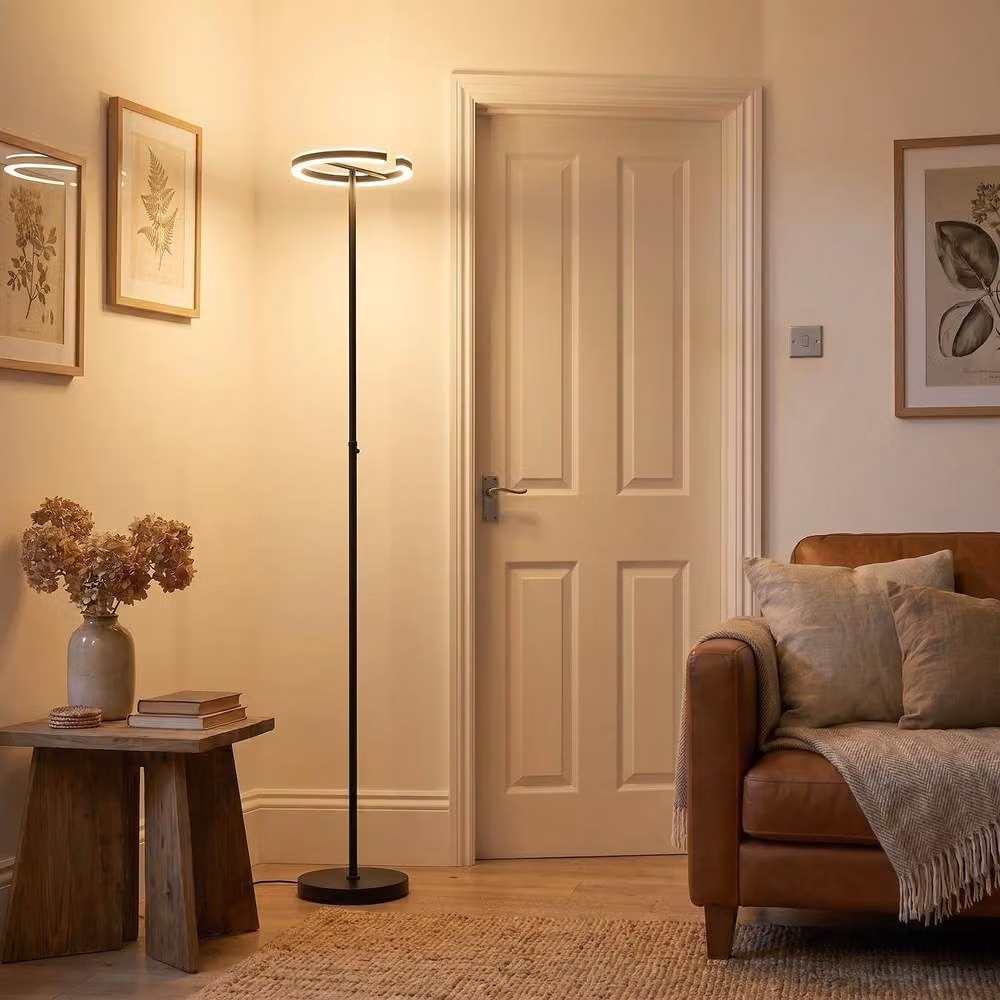 Happy Homewares Modern RGBW LED Halo Ring Black Floor Lamp with Remote Control, H 180 cm x W 30 cm x D 30 cm – 4