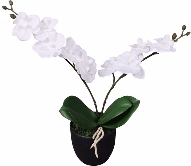 Berkfield Home White Artificial Potted Orchid Plant, Height: 30 cm