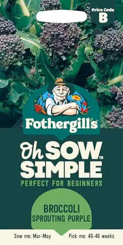 Mr Fothergill's Oh Sow Simple Purple Broccoli Vegetable Seeds – 1
