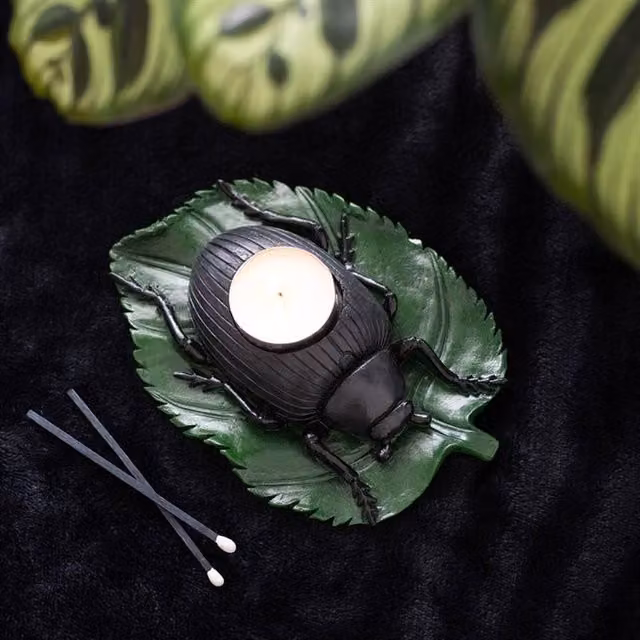 Uniqueful Beetle Tealight Candle Holder in Multicolour, Black and Green