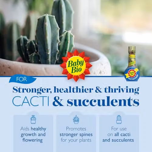 Baby Bio Cactus Food Liquid Concentrate Fertiliser, 175ml – 2