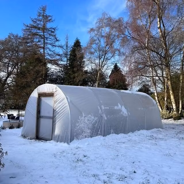 Direct Polytunnels Heavy Duty Professional Straight Sided Polytunnel Kit in Transparent and Yellow