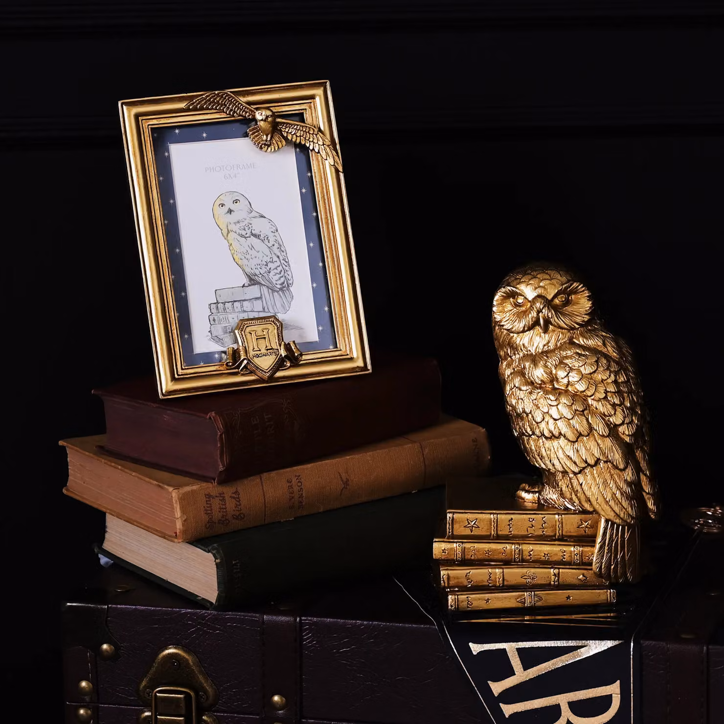 Warner Bros Harry Potter Hedwig Gold Metal Photo Frame, W: 15 cm, H: 15 cm, D: 1 cm – 2