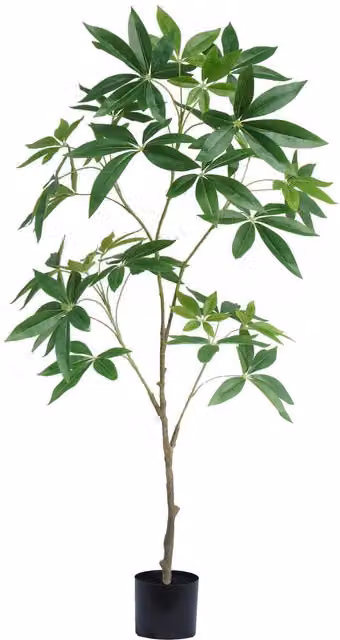 Botanik Artificial Money Tree Pachira Realistic Faux Plant, Green and Black, Height: 120 cm