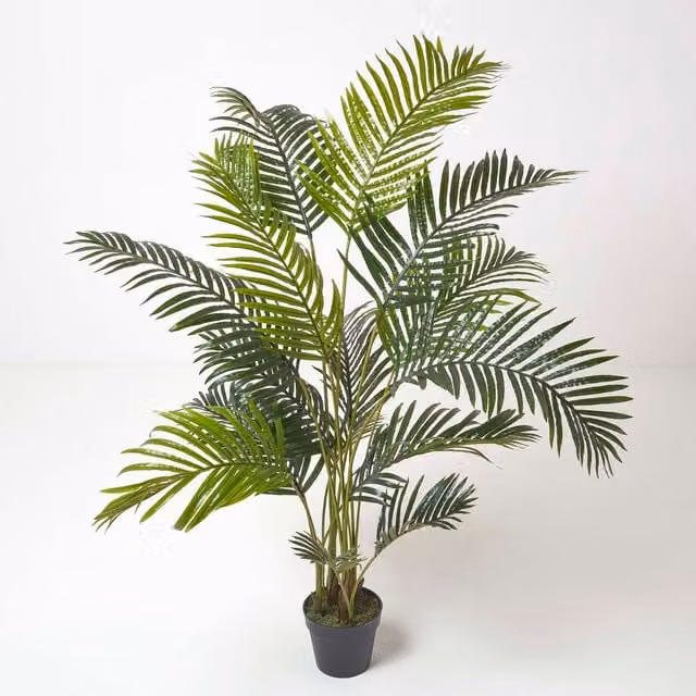 Homescapes Areca Palm Tree in Pot, Green, Height: 120 cm