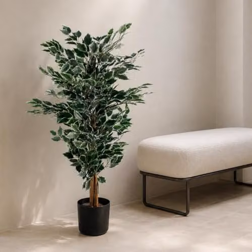 Leaf Design UK Tall Variegated Ficus Tree in White and Green, Height: 130 cm – 2