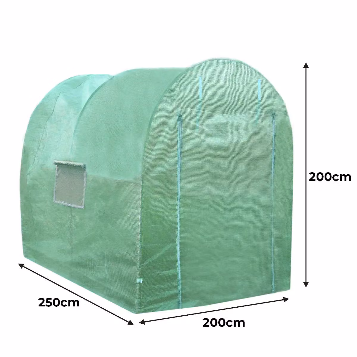 Monstershop Green Plastic Polytunnel with Window for Vegetable Gardens W/D/H: 2.5 x 2.0 x 2.0 m – 2