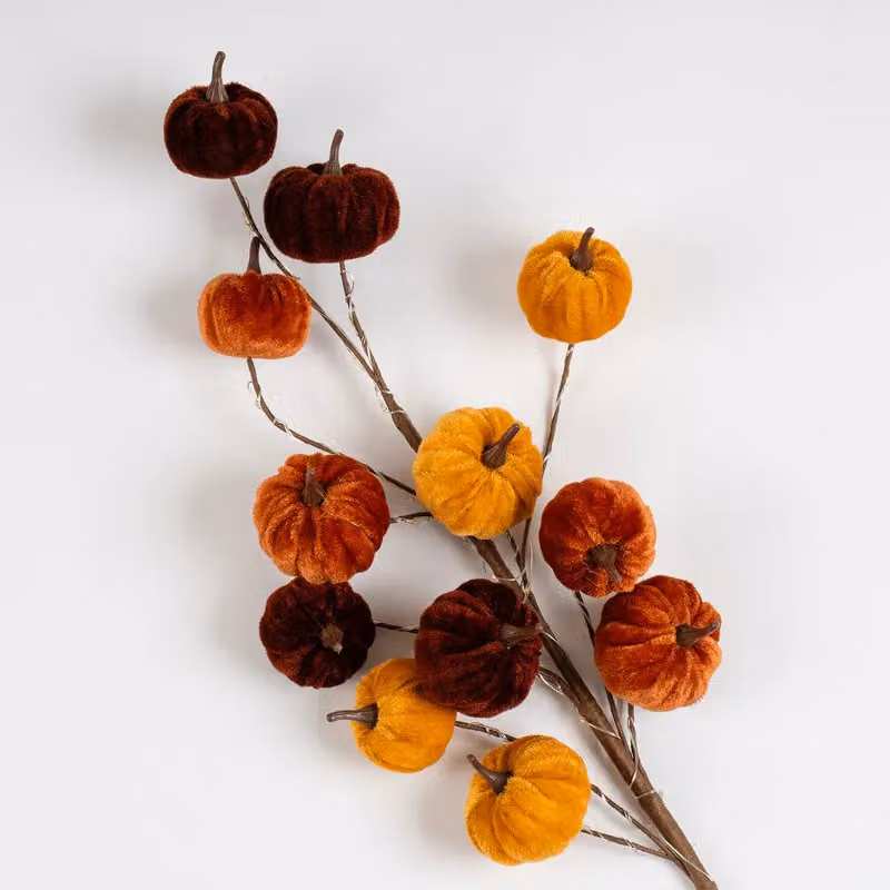 Scottish Everlastings Ltd Set of 2 Pre-lit Velvet Pumpkin Stems in Brown and Orange – 2