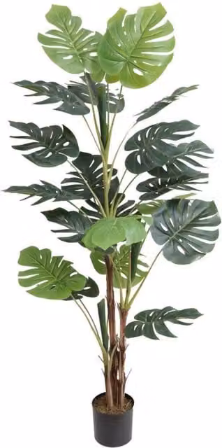 KDMD Artificial Monstera Green Plant Tree