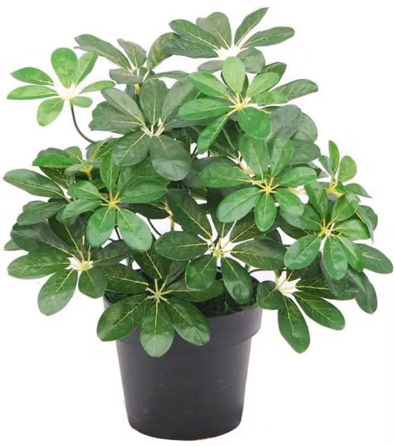Leaf Design UK Artificial Dwarf Umbrella Tree Tabletop Plant in Green