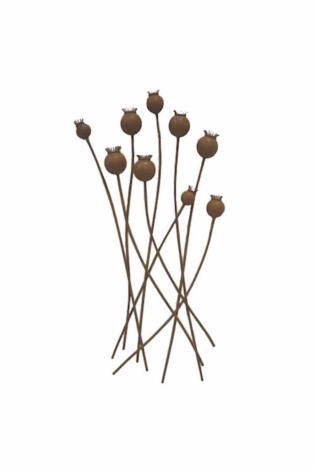 KDMD Poppy Head Botanical Wall Art in Gold – 2