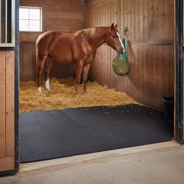 Actiasmat Black Interlocking Stable Flooring Mats, 6 Pieces, 34mm Thickness