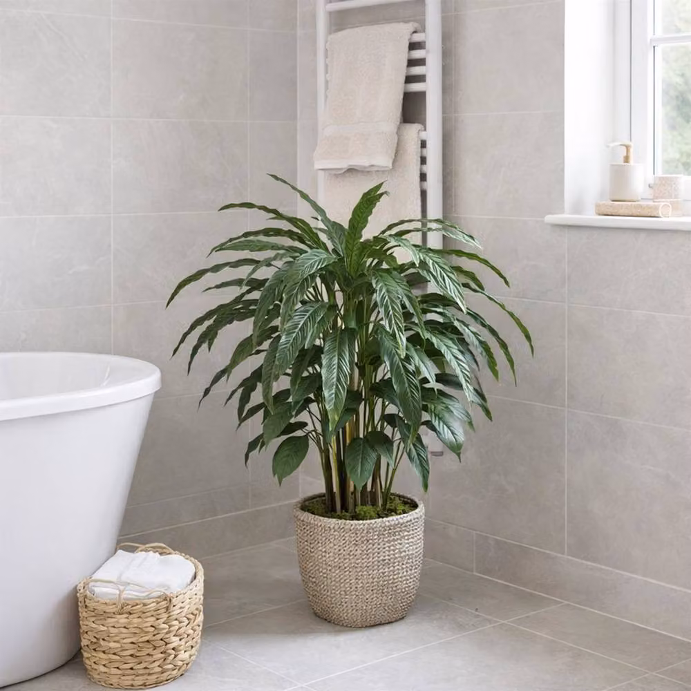 Leaf Premium Dark Green Artificial Calathea Potted Plant, Height: 90 cm – 4