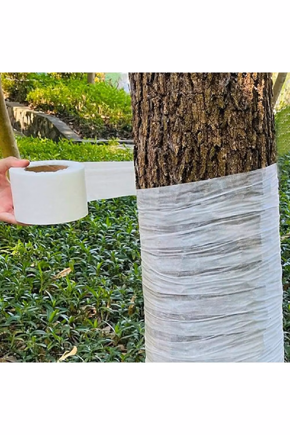 KDMD White Tree Trunk Wrap for Antifreeze and Cold Protection, 100m, Width: 8cm – 3