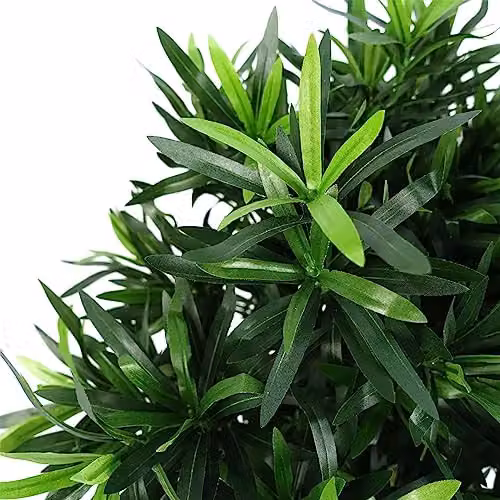 Leaf Design UK Small Green Artificial Bonsai Tabletop Tree H 40 cm x W 40 cm x D 40 cm – 5
