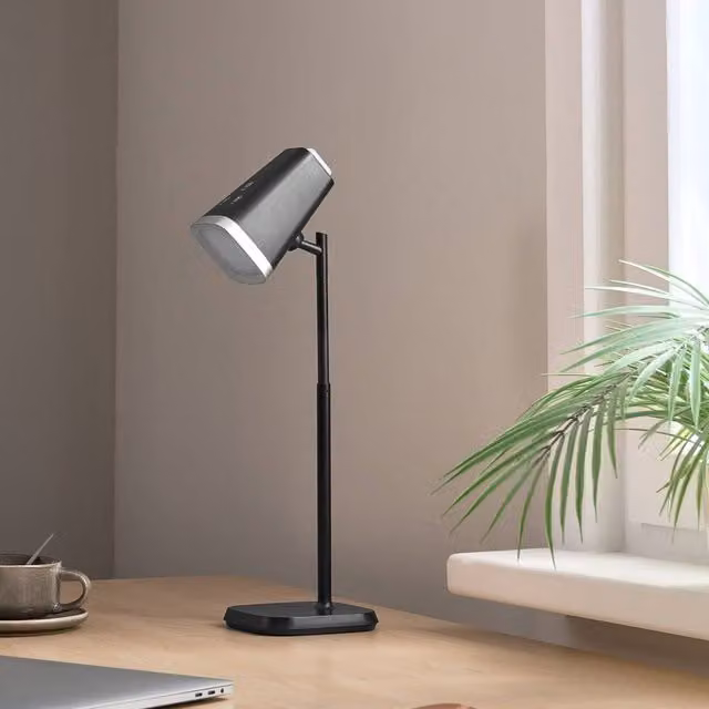 Wyld and Coco Black 2-in-1 Dimmable Desk and Wall Lamp with Detachable Head and Touch Control – 1