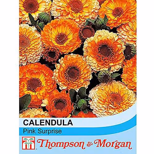 Thompson and Morgan Calendula officinalis Pink Surprise English Marigold Seeds, 100 Seeds